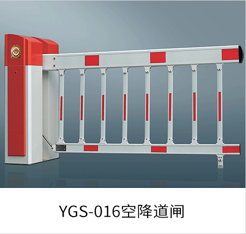 YGS-016空降榴莲视频大全